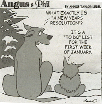What exactly is a "new years resolution?" - It's a To Do list for the first week of January