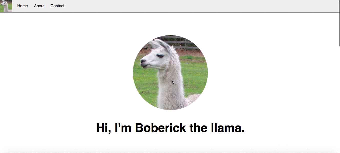 Our website after adding more specific styles